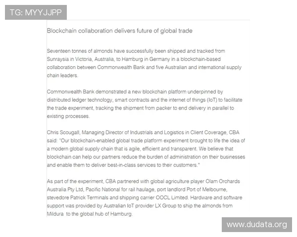 厄瓜多尔德国比赛结束后专家深度解析：比赛中的战术变化与关键因素